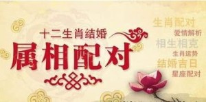 十二生生肖相冲