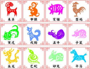 十二生肖怎么装饰才好看
