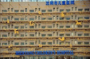 十二生肖什么生肖会盖房