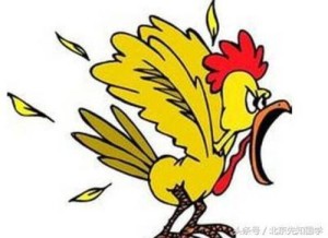 爱打的十二生肖是什么
