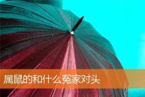 属鼠跟哪个属相犯冲