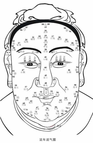 面相流年运气图怎么看