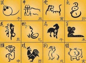 十二生肖对应物品有哪些