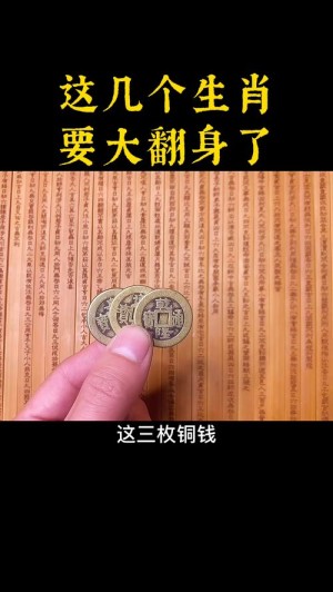 十二生肖的感悟