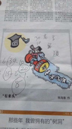十二生肖保安指哪个生肖的动物