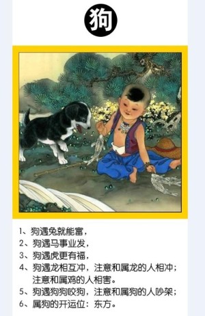 十二生肖相冲合贵人是什么
