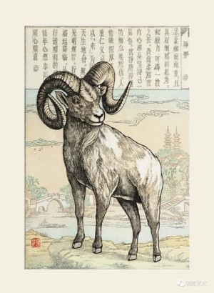 十二生肖候解析
