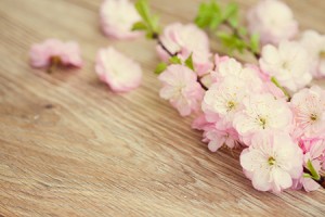 文昌位在家中哪个方位