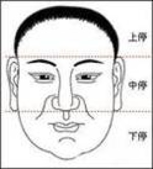 三停面相分析
