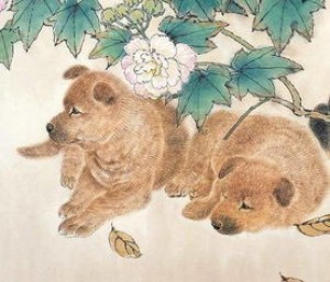 十二生肖弱小的动物是什么