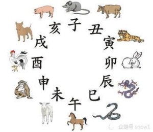 十二生肖配偶对象属相