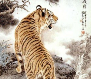 十二生肖老虎婚姻如何