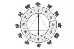 八字“生日”出生日干支论病
